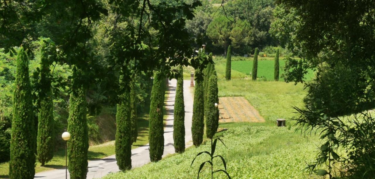 Agriturismo Cascina Cipressa San Romano  Exterior photo