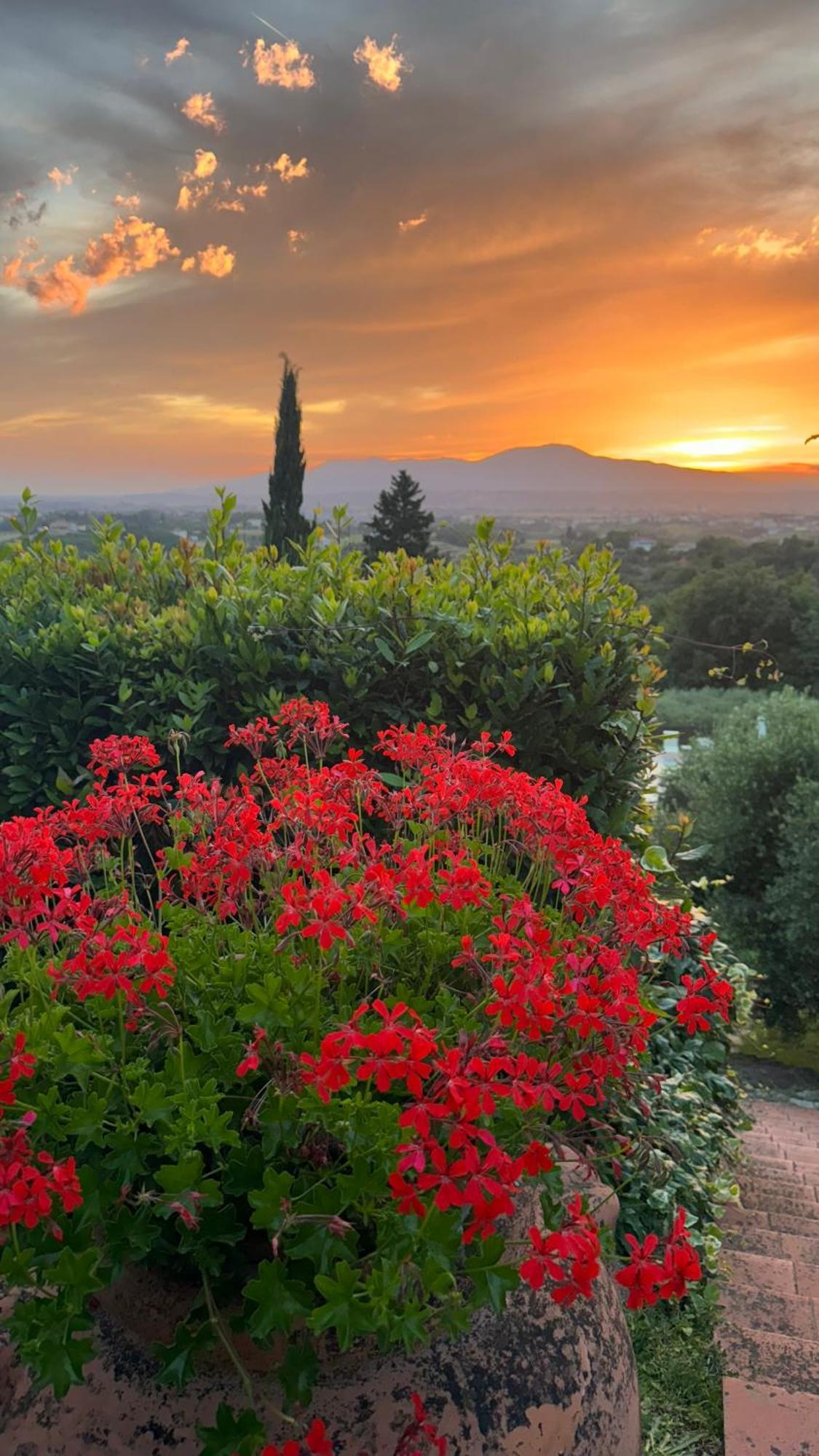 Agriturismo Cascina Cipressa San Romano  Exterior photo