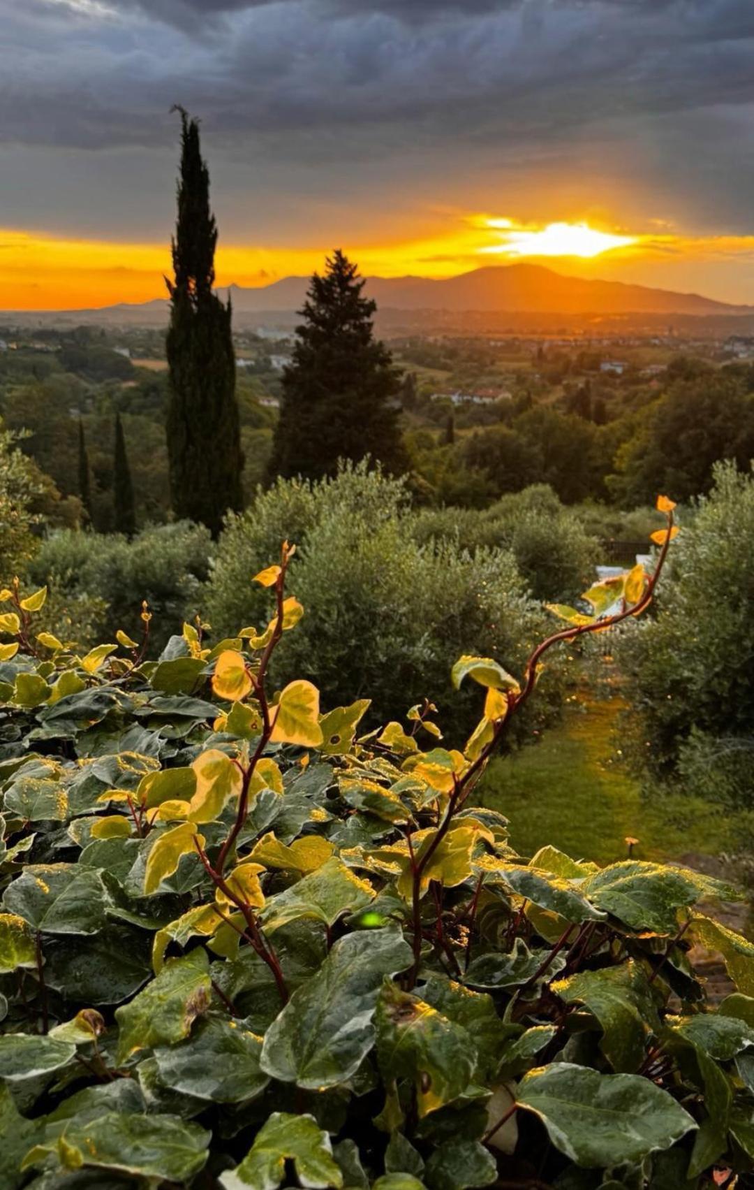 Agriturismo Cascina Cipressa San Romano  Exterior photo